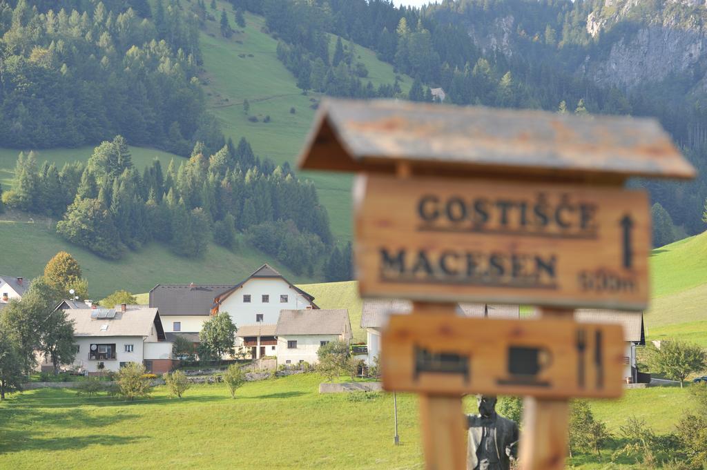 Guesthouse Macesen Spodnja Sorica Bagian luar foto