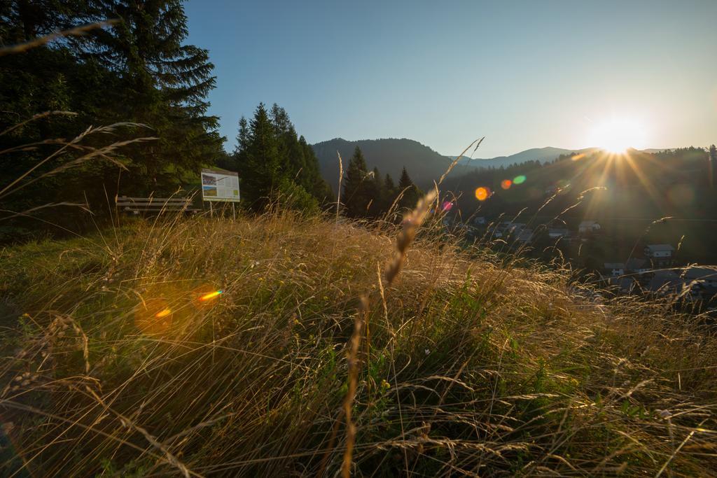 Guesthouse Macesen Spodnja Sorica Bagian luar foto