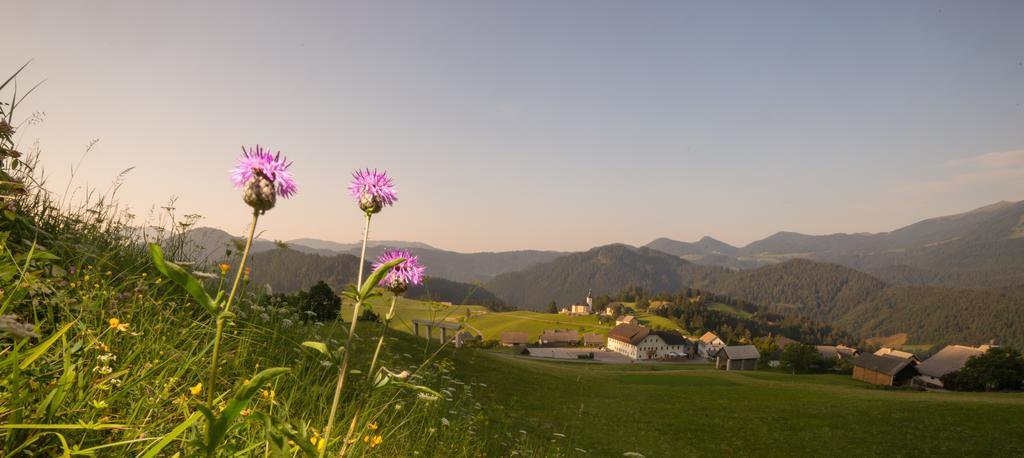Guesthouse Macesen Spodnja Sorica Bagian luar foto