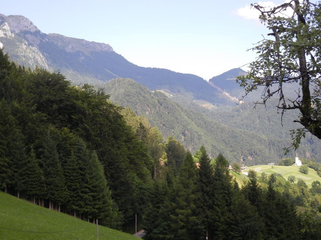 Guesthouse Macesen Spodnja Sorica Bagian luar foto