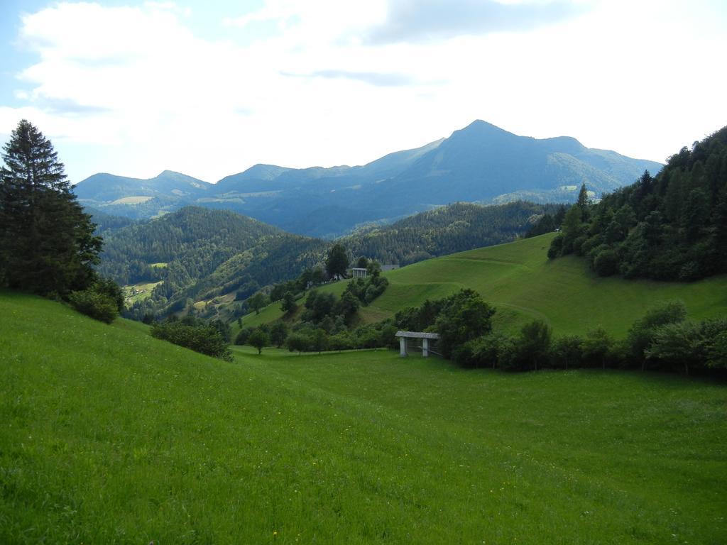 Guesthouse Macesen Spodnja Sorica Bagian luar foto