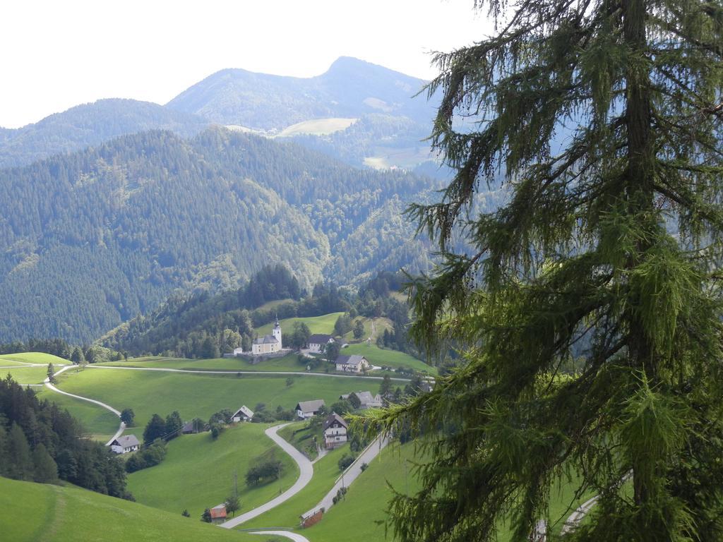 Guesthouse Macesen Spodnja Sorica Bagian luar foto