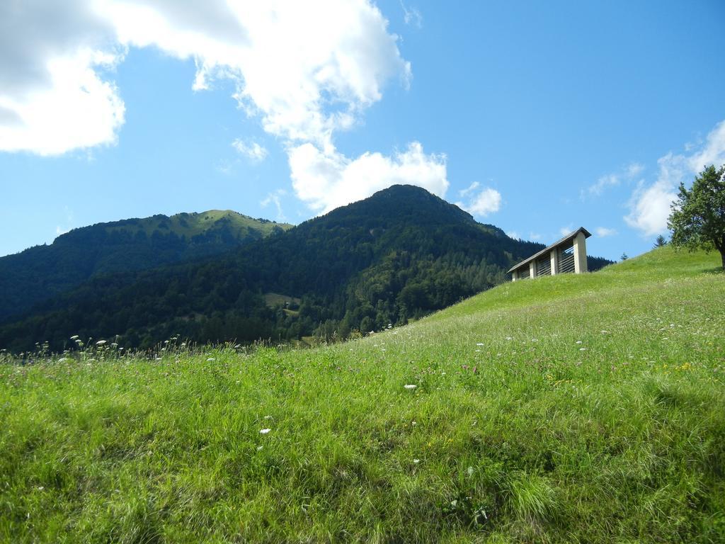 Guesthouse Macesen Spodnja Sorica Bagian luar foto