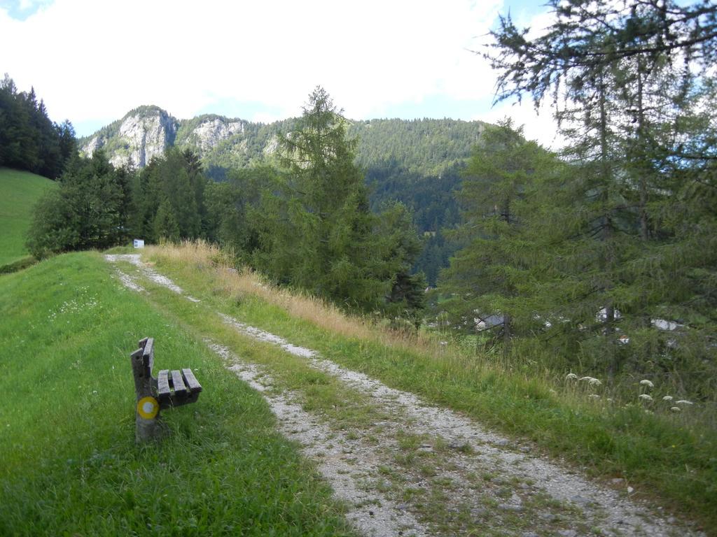 Guesthouse Macesen Spodnja Sorica Bagian luar foto
