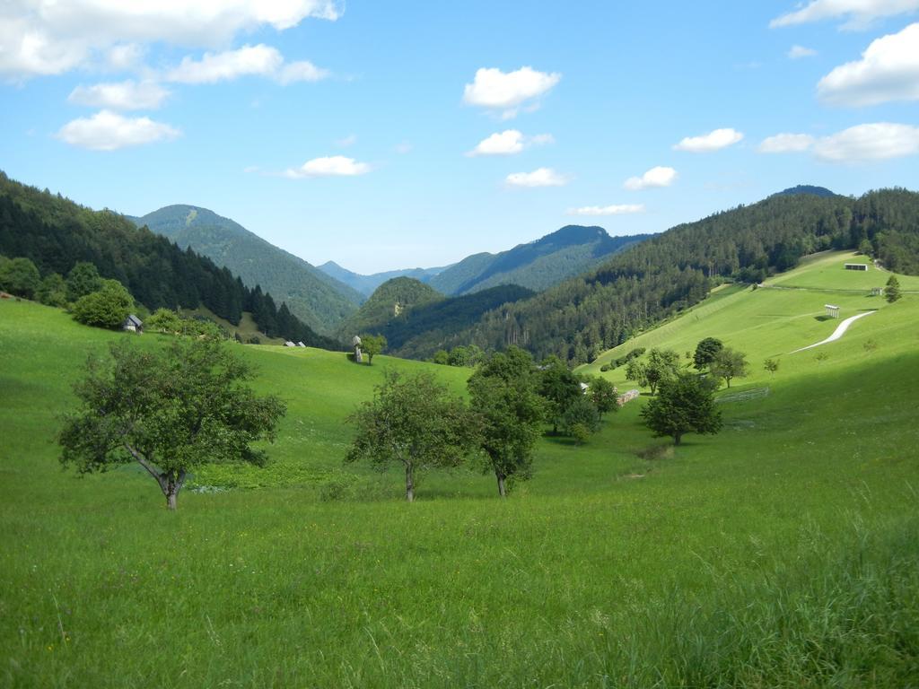Guesthouse Macesen Spodnja Sorica Bagian luar foto
